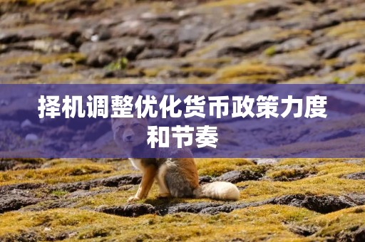 择机调整优化货币政策力度和节奏
