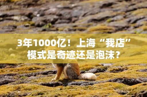 3年1000亿！上海“我店”模式是奇迹还是泡沫？