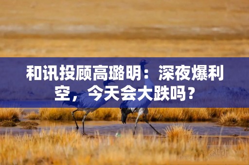 和讯投顾高璐明：深夜爆利空，今天会大跌吗？