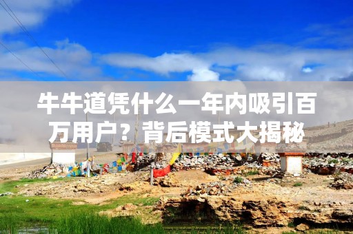 牛牛道凭什么一年内吸引百万用户？背后模式大揭秘