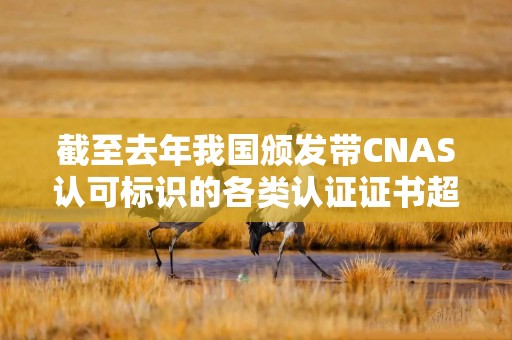 截至去年我国颁发带CNAS认可标识的各类认证证书超179万份
