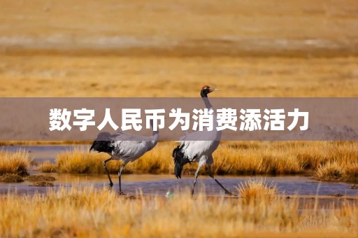 数字人民币为消费添活力