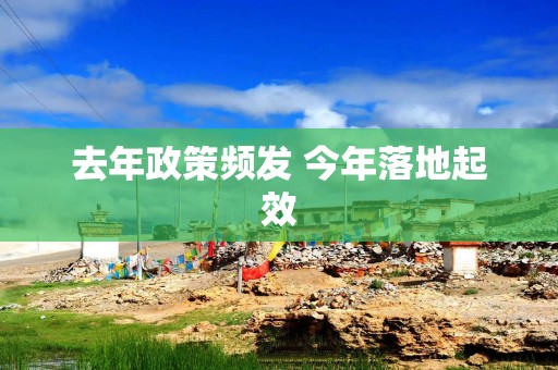 去年政策频发 今年落地起效