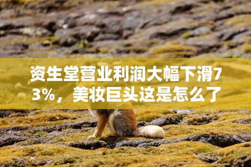 资生堂营业利润大幅下滑73%，美妆巨头这是怎么了？