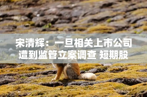宋清辉：一旦相关上市公司遭到监管立案调查 短期股价大多下跌