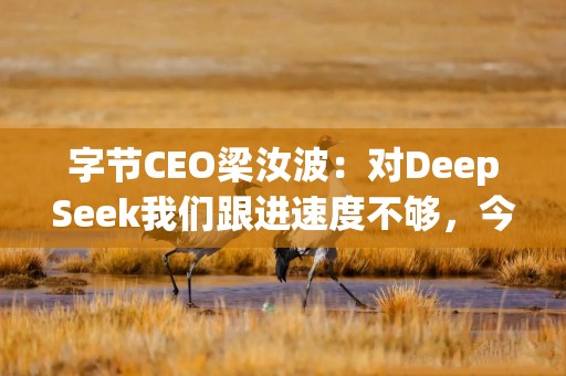 字节CEO梁汝波：对DeepSeek我们跟进速度不够，今年追求“智能”上限