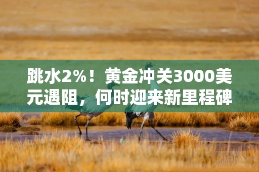 跳水2%！黄金冲关3000美元遇阻，何时迎来新里程碑