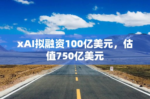 xAI拟融资100亿美元，估值750亿美元