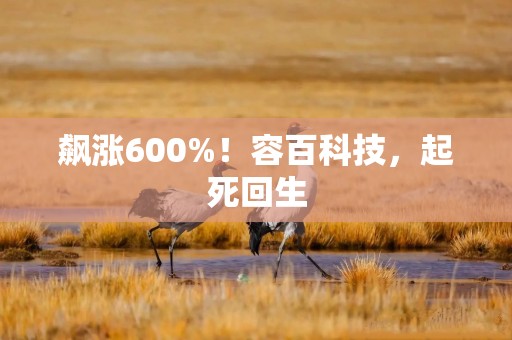 飙涨600%！容百科技，起死回生