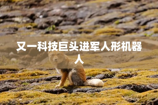 又一科技巨头进军人形机器人
