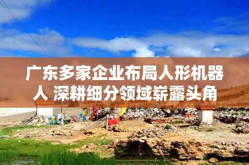 广东多家企业布局人形机器人 深耕细分领域崭露头角