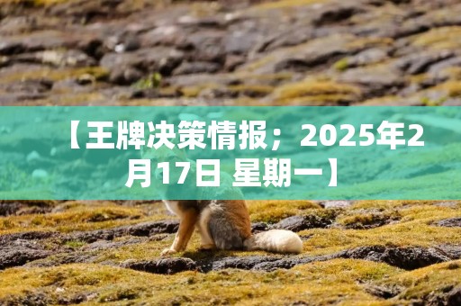 【王牌决策情报；2025年2月17日 星期一】