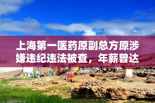 上海第一医药原副总方原涉嫌违纪违法被查，年薪曾达百万