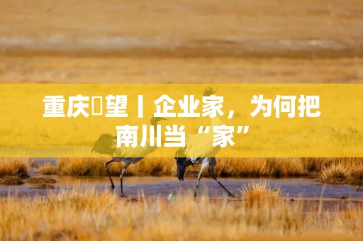 重庆瞭望丨企业家，为何把南川当“家”