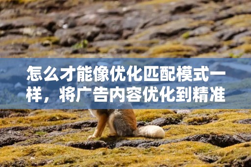 怎么才能像优化匹配模式一样，将广告内容优化到精准对标每一个用户？