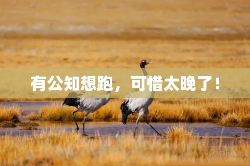 有公知想跑，可惜太晚了！
