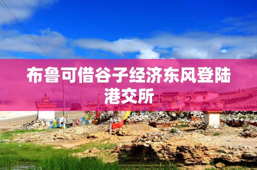 布鲁可借谷子经济东风登陆港交所