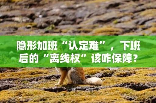 隐形加班“认定难”，下班后的“离线权”该咋保障？