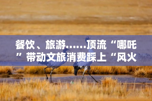 餐饮、旅游……顶流“哪吒”带动文旅消费踩上“风火轮”