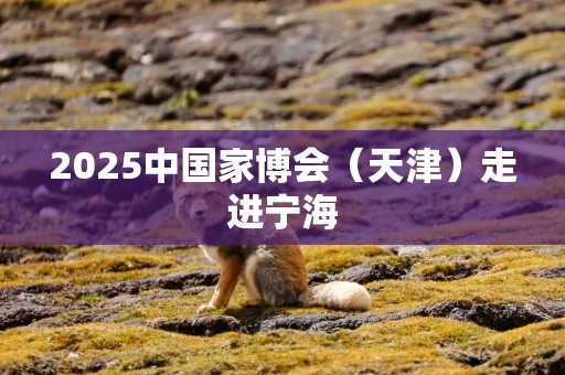 2025中国家博会（天津）走进宁海