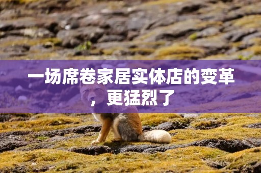 一场席卷家居实体店的变革，更猛烈了
