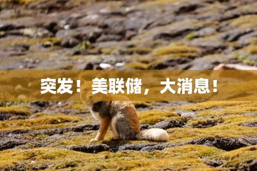 突发！美联储，大消息！