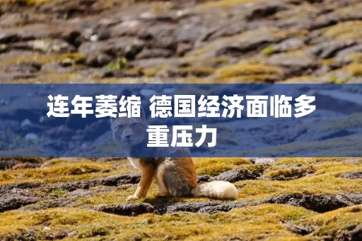 连年萎缩 德国经济面临多重压力