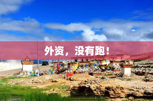 外资，没有跑！