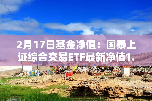 2月17日基金净值：国泰上证综合交易ETF最新净值1.0555，涨0.34%