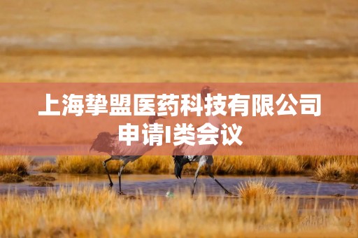 上海挚盟医药科技有限公司申请I类会议