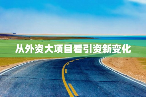 从外资大项目看引资新变化