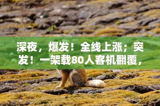深夜，爆发！全线上涨；突发！一架载80人客机翻覆，多人受伤；证实了！俄美将在沙特举行会晤
