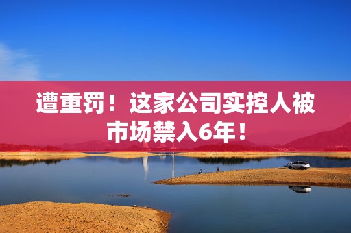 遭重罚！这家公司实控人被市场禁入6年！