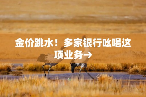 金价跳水！多家银行吆喝这项业务→