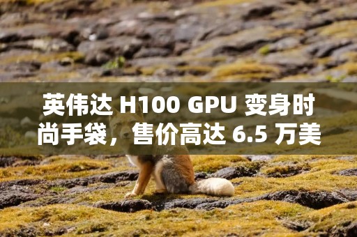 英伟达 H100 GPU 变身时尚手袋，售价高达 6.5 万美元