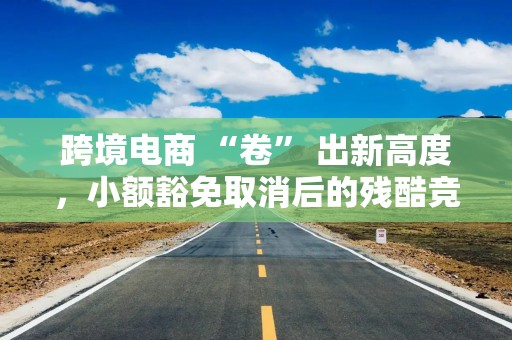 跨境电商 “卷” 出新高度，小额豁免取消后的残酷竞争｜焦点分析
