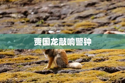 贾国龙敲响警钟