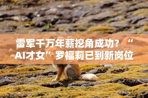 雷军千万年薪挖角成功？“AI才女”罗福莉已到新岗位上班