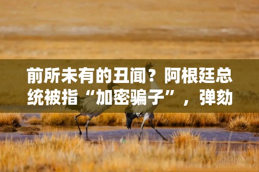 前所未有的丑闻？阿根廷总统被指“加密骗子”，弹劾风暴一触即发