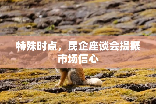 特殊时点，民企座谈会提振市场信心