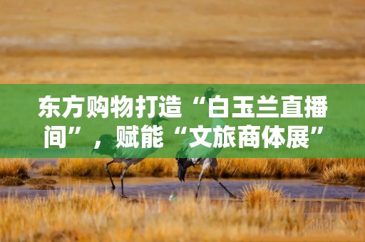 东方购物打造“白玉兰直播间”，赋能“文旅商体展”融合发展