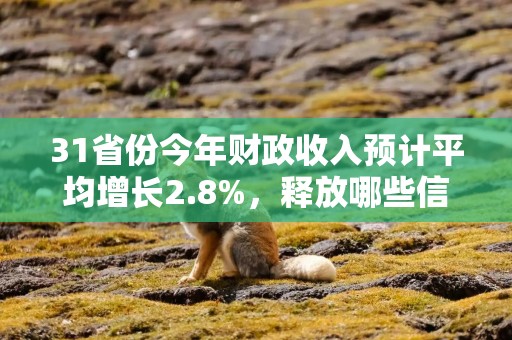 31省份今年财政收入预计平均增长2.8%，释放哪些信号