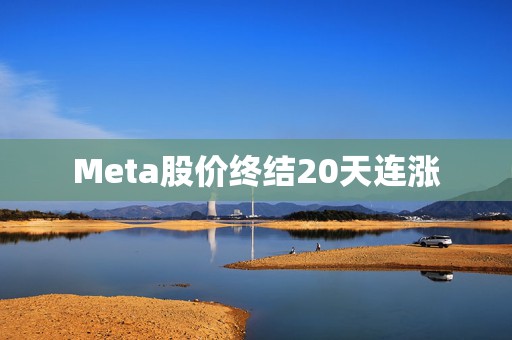 Meta股价终结20天连涨