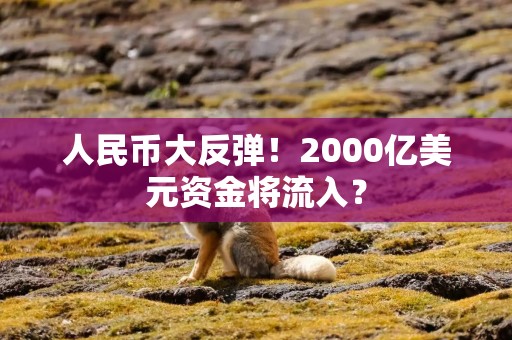 人民币大反弹！2000亿美元资金将流入？