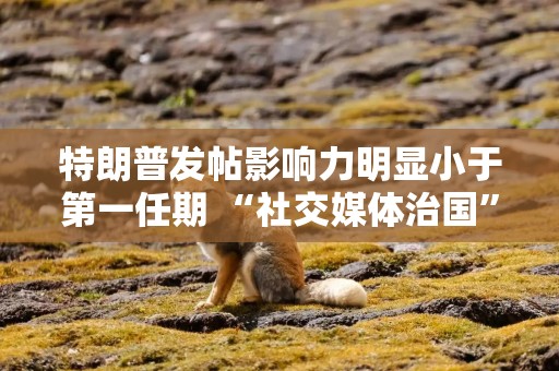 特朗普发帖影响力明显小于第一任期 “社交媒体治国”效力大减？