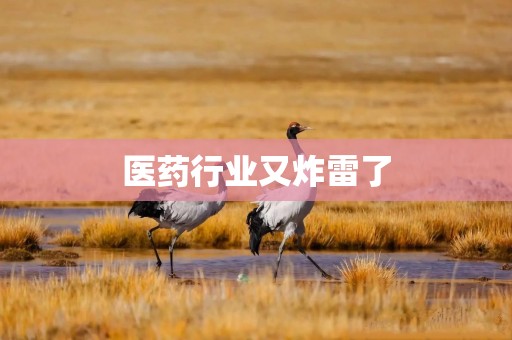 医药行业又炸雷了