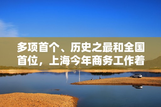 多项首个、历史之最和全国首位，上海今年商务工作着力做四件事