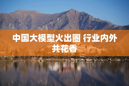 中国大模型火出圈 行业内外共花香