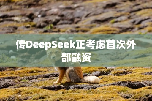 传DeepSeek正考虑首次外部融资