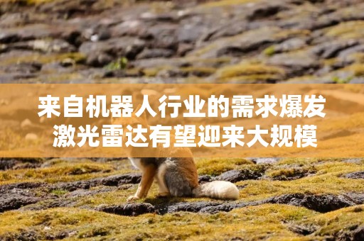 来自机器人行业的需求爆发 激光雷达有望迎来大规模应用落地